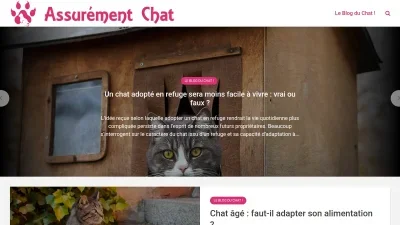 Assurément Chat