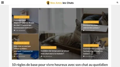 Nos Amis les Chats