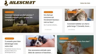 Ailes Chat