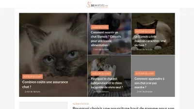 Sosweetcats.com